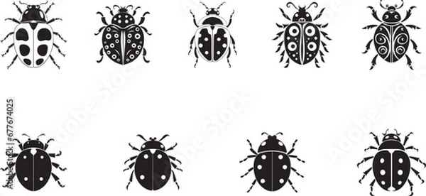 Fototapeta Ladybug vector icon, ladybug silhouette