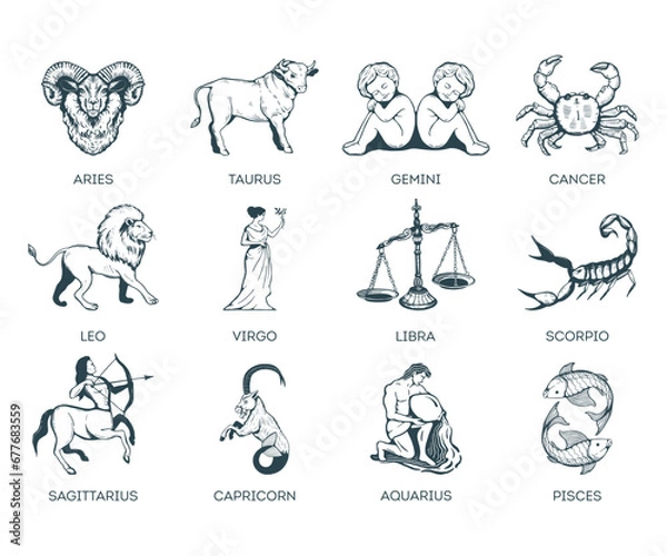 Obraz Zodiac signs vector illustration. 