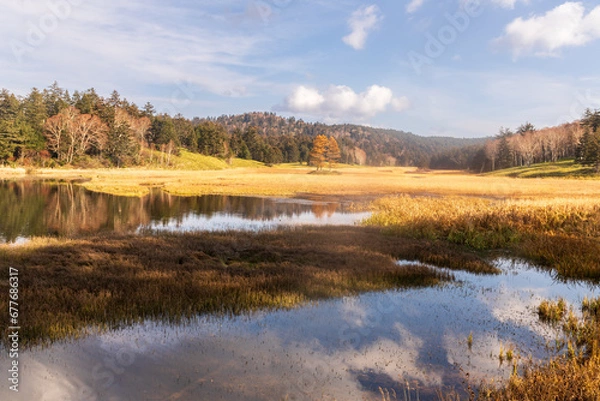 Fototapeta 晩秋の尾瀬沼