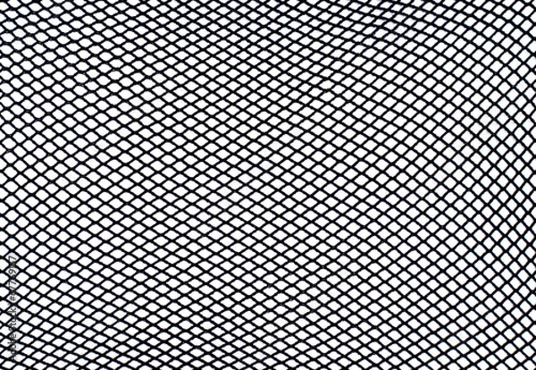 Obraz Siatka przeciw komarom