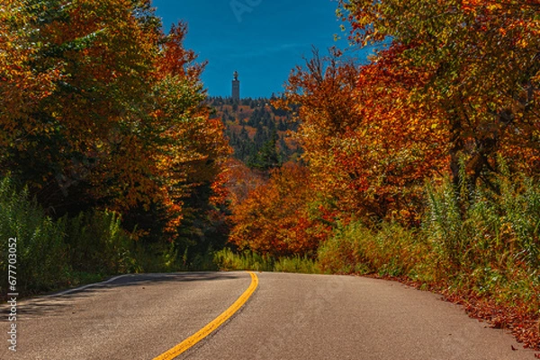 Obraz road in autumn forest
