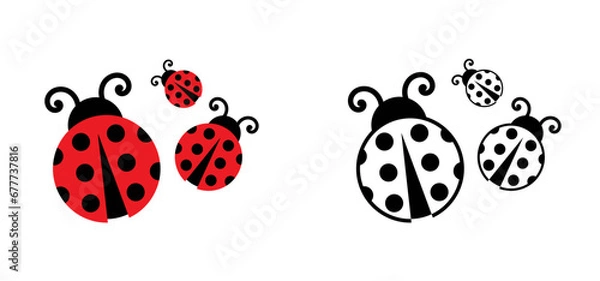 Fototapeta Fly flying ladybug. Vector dotted or polka dot pattern. Let spring begin. ladybug sign represents protection, resistance, luck and prosperity, but also the symbol of senseless violence.