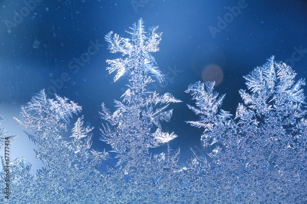 Obraz schneeblumen an scheibe