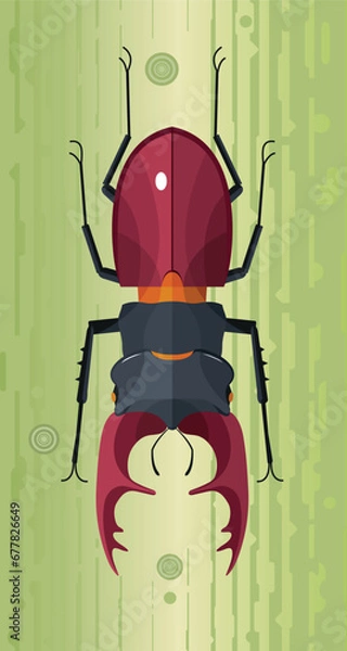 Fototapeta Stag Beetle