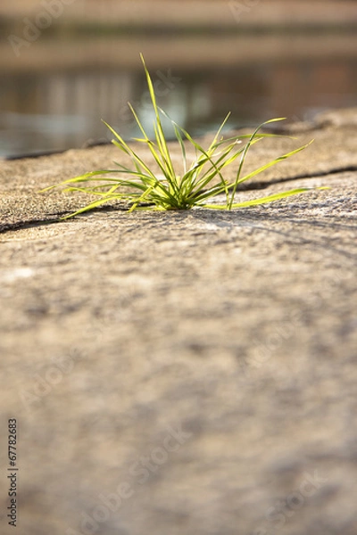 Obraz Hard life - concept image