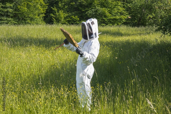 Fototapeta Beekeeper at work