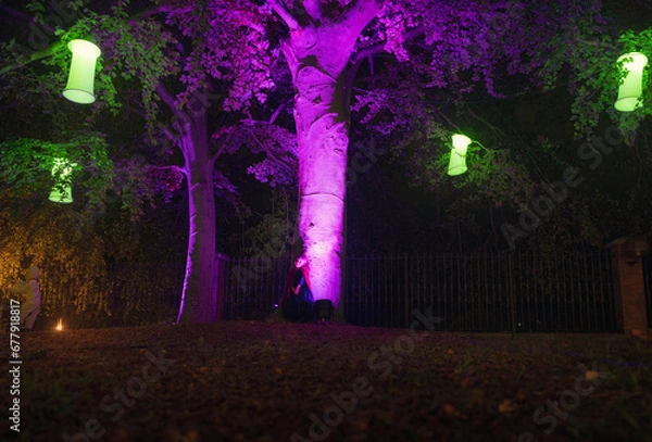 Fototapeta Illuminated forest with magical lights