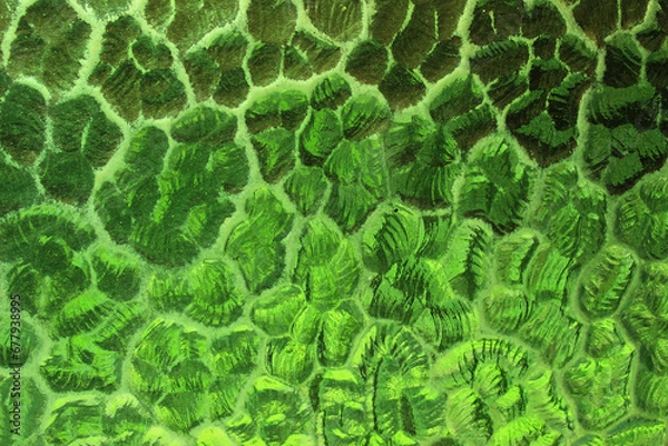 Fototapeta Textured glass with a pattern of curved reliefs, colored in shades of green, creating a gradient of hues with the interplay of light and shadow.