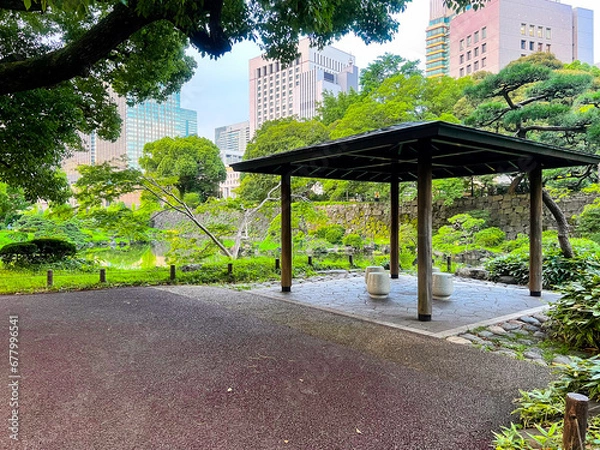 Fototapeta 東京日比谷公園のいす