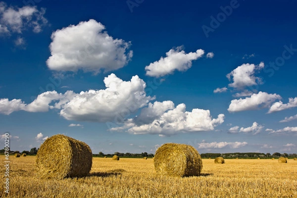 Fototapeta Straw Bales