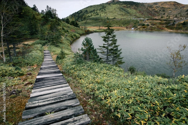 Obraz 草津白根山の紅葉