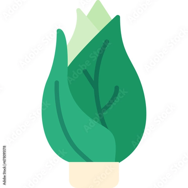Obraz Belgian Endive Icon
