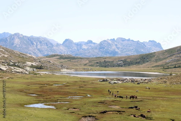 Obraz Lac de Ninu - Corse