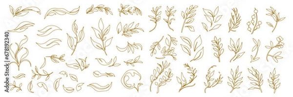 Fototapeta Set of tiny wild flowers and plants line art vector botanical illustrations. Trendy greenery hand drawn black ink sketches collection