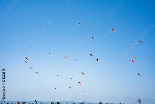 Obraz 浜松まつりの凧揚げ