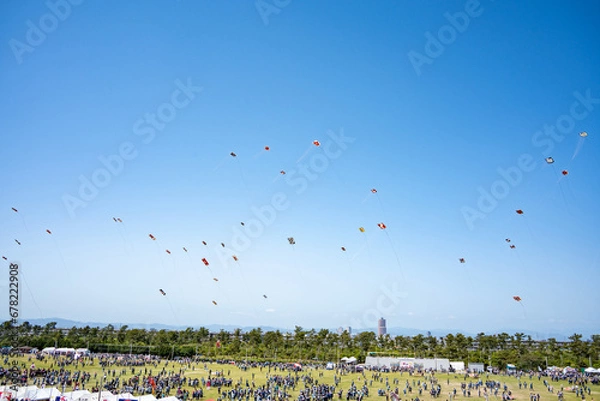 Fototapeta 浜松まつりの凧揚げ