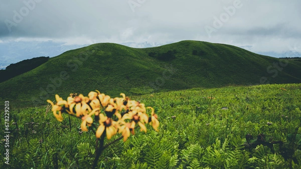 Fototapeta ビーナスライン　蓼科大滝　白樺湖　蓼科湖