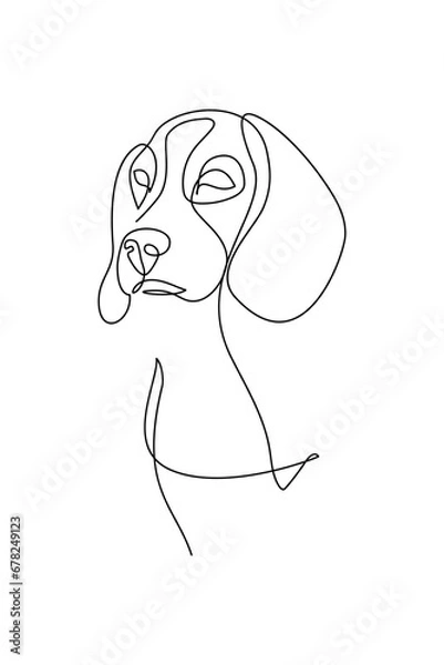 Fototapeta Dog portrait in continuous line art drawing style. Beagle dog head black linear sketch isolated on white background. Vector illustration