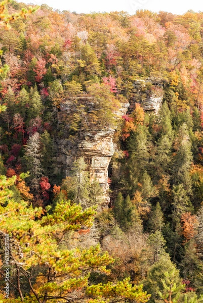 Obraz fall in nature