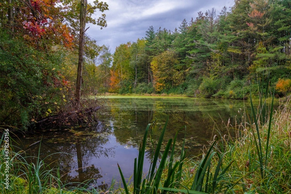 Obraz Sutherland Pond (2023)