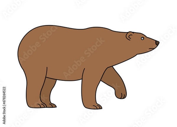 Obraz Brown bear on a white background. Forest predator. Symbol and sign. Animals in the wild. Vector isolated illustration