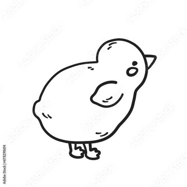 Fototapeta Cute chick outline. Chicken, farm animal in doodle and linear drawing style. Vector illustration, png on transparent background