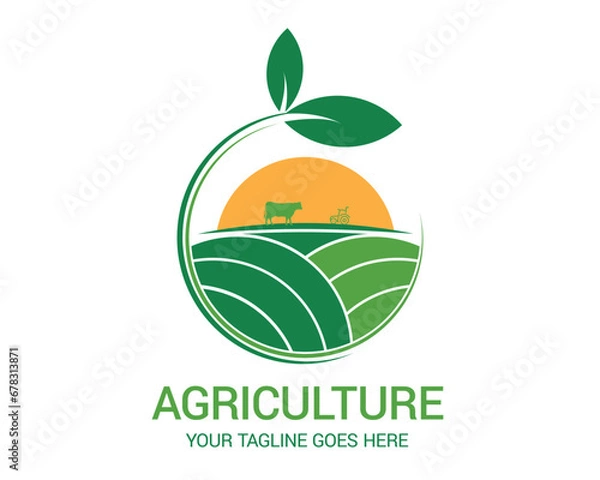 Fototapeta Agriculture and  farm logo design and vector template.