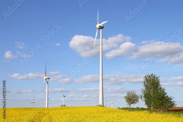Fototapeta Windräder