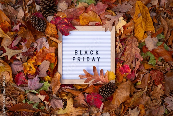 Obraz Black Friday Letter Message Board Promotional Message In Frame Pile of Colorful Fall Autumn Leaves
