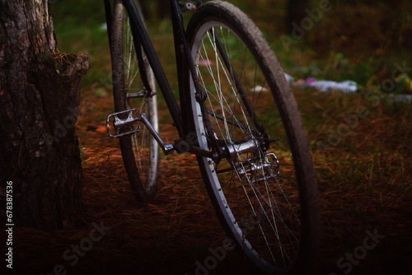Fototapeta old bicycle
