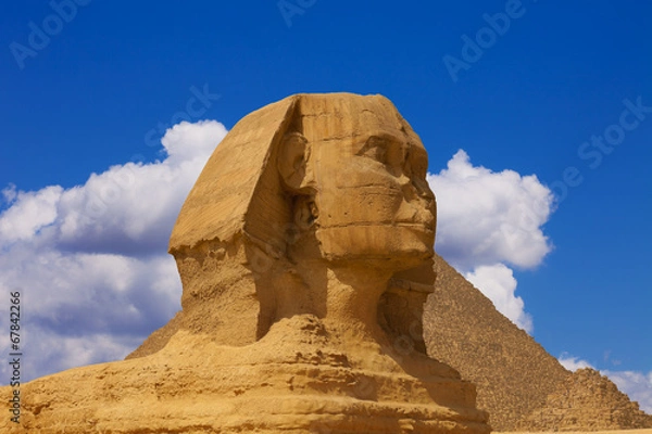 Fototapeta The head of the sphinx