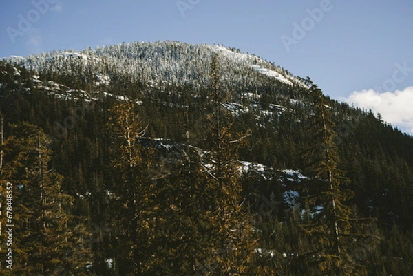 Obraz snow covered mountains
