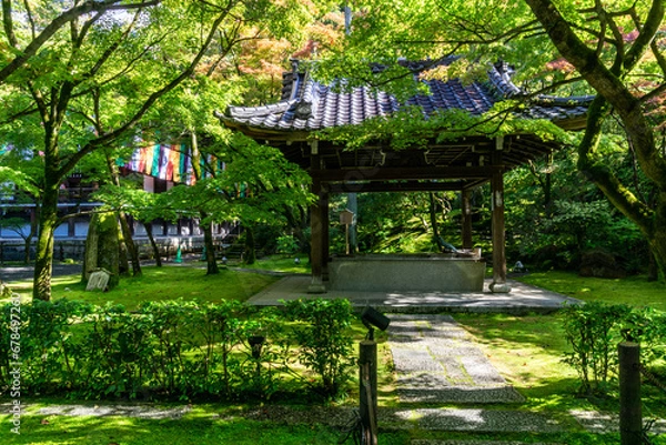 Obraz Japanese Temple