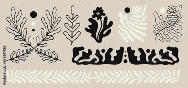 Fototapeta Flower or weeds abstract shapes ornament print set. Trendy abstract botanical wall arts and floral design elements or border. Modern hand drawn naive interior decorations, paintings collection.