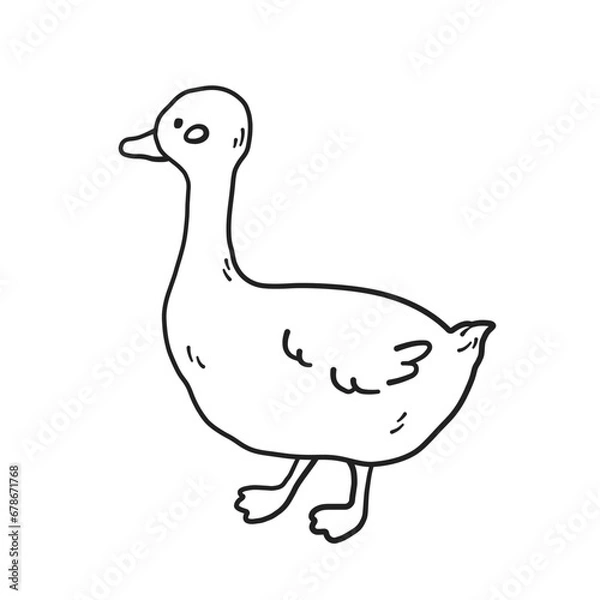 Fototapeta Cute goose outline. Domestic bird, farm animal in doodle and linear drawing style. Vector illustration, png on transparent background