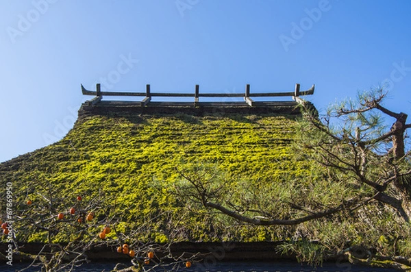 Fototapeta 茅葺屋根