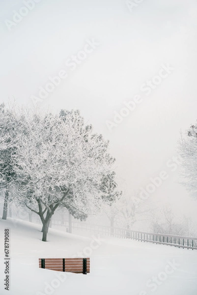 Obraz Winter's Hush: Frozen Morning Bliss with a Snow-Blanketed Bench