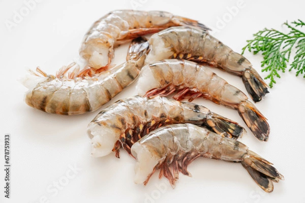 Fototapeta ブラックタイガー 無頭