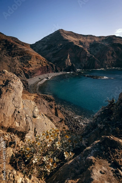 Obraz Coastline Flowers