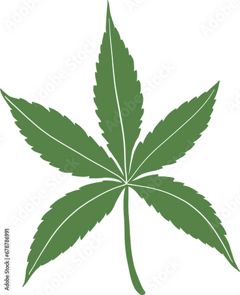 Obraz Simplicity cannabis leaf freehand drawing.