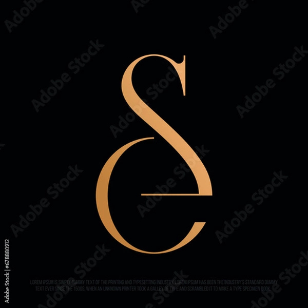 Fototapeta Modern professional monogram in the shape of the SE