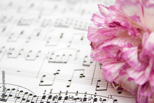Fototapeta modern musical notes and pink flower background