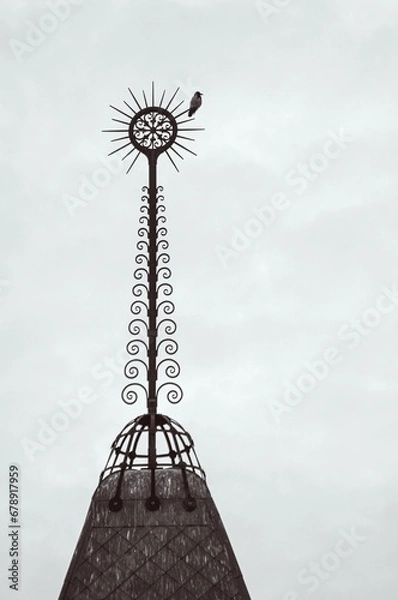 Obraz View from above, bird on top. I