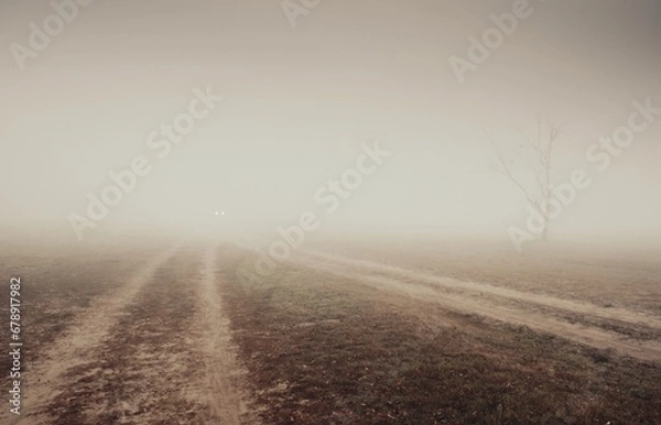 Fototapeta A foggy morning and a lonely tree. Car lights in the background.