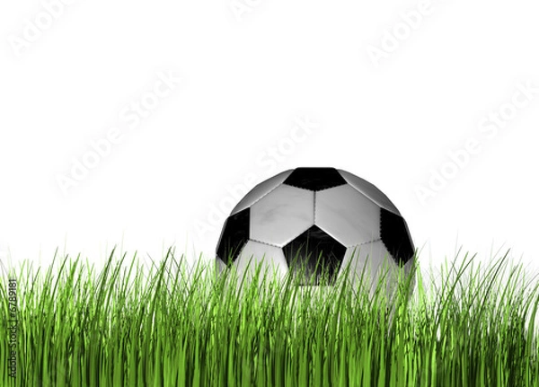Obraz Fußball im Gras