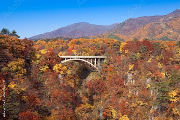 Fototapeta 紅葉の鳴子峡と大深沢橋