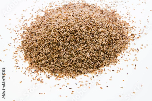 Obraz Cumin Seeds on white background