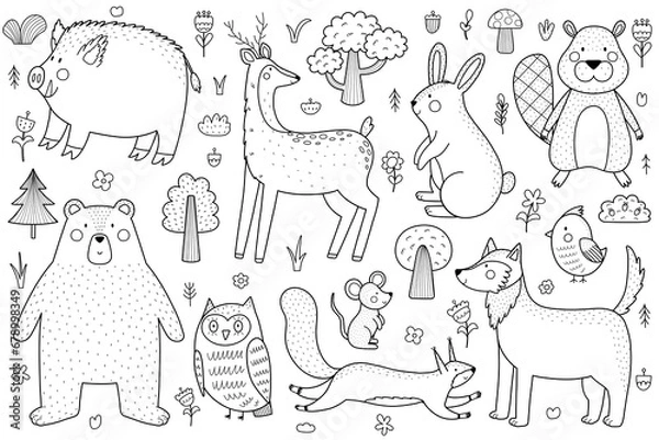 Fototapeta Cute forest animals black and white set. Woodland characters collection in outline for kids and baby design. Great for coloring page. Vector illustration