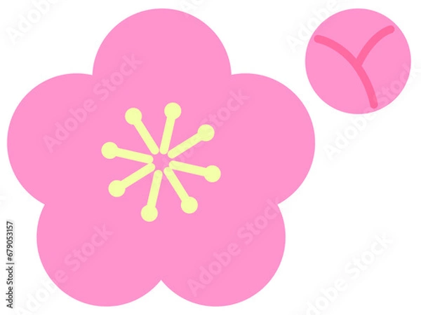 Obraz 梅の花と梅のつぼみ