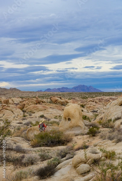 Fototapeta Desert Boulder Formations in Joshua Tree